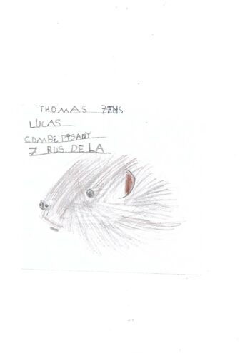 Dessin de Thomas