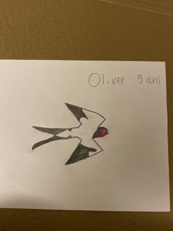 Dessin de Oliver